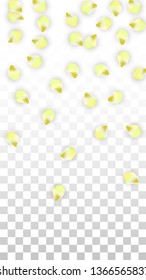 Vector Realistic Pink Petals Falling on Transparent Background.  Spring Romantic Flowers Illustration. Flying Petals. Sakura Spa Design.  Blossom Confetti. Design Elements for  Mother's Day.