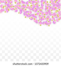 Vector Realistic Pink Petals Falling on Transparent Background.  Spring Romantic Flowers Illustration. Flying Petals. Sakura Spa Design.  Blossom Confetti. Design Elements for  Wedding Decoration.