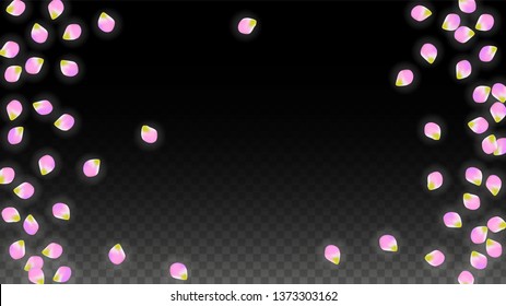 Vector Realistic Pink Petals Falling on Transparent Background.  Spring Romantic Flowers Illustration. Flying Petals. Sakura Spa Design.  Blossom Confetti. Design Elements for  Poster Design. 