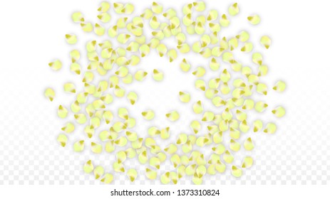 Vector Realistic Pink Petals Falling on Transparent Background.  Spring Romantic Flowers Illustration. Flying Petals. Sakura Spa Design.  Blossom Confetti. Design Elements for  St. Valentine Day.