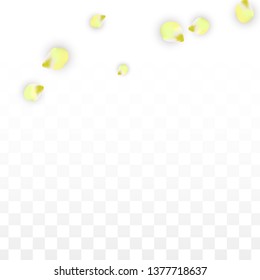 Vector Realistic Pink Petals Falling on Transparent Background.  Spring Romantic Flowers Illustration. Flying Petals. Sakura Spa Design.  Blossom Confetti. Design Elements for  St. Valentine Day.
