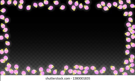 Vector Realistic Pink Petals Falling on Transparent Background.  Spring Romantic Flowers Illustration. Flying Petals. Sakura Spa Design.  Blossom Confetti. Design Elements for  Poster Design. 
