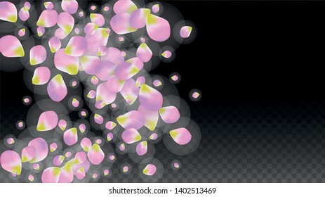 Vector Realistic Pink Petals Falling on Transparent Background.  Spring Romantic Flowers Illustration. Flying Petals. Sakura Spa Design.  Blossom Confetti. Design Elements for  8 March Card.