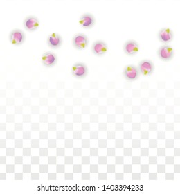 Vector Realistic Pink Petals Falling on Transparent Background.  Spring Romantic Flowers Illustration. Flying Petals. Sakura Spa Design.  Blossom Confetti. Design Elements for  Mother's Day.
