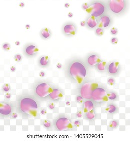 Vector Realistic Pink Petals Falling on Transparent Background.  Spring Romantic Flowers Illustration. Flying Petals. Sakura Spa Design.  Blossom Confetti. Design Elements for  8 March Card.