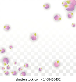 Vector Realistic Pink Petals Falling on Transparent Background.  Spring Romantic Flowers Illustration. Flying Petals. Sakura Spa Design.  Blossom Confetti. Design Elements for  Wedding Decoration.
