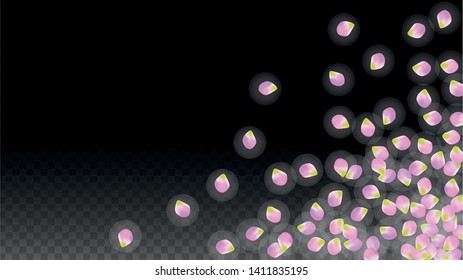 Vector Realistic Pink Petals Falling on Transparent Background.  Spring Romantic Flowers Illustration. Flying Petals. Sakura Spa Design.  Blossom Confetti. Design Elements for  Mother's Day.