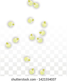 Vector Realistic Pink Petals Falling on Transparent Background.  Spring Romantic Flowers Illustration. Flying Petals. Sakura Spa Design.  Blossom Confetti. Design Elements for  Poster Design. 