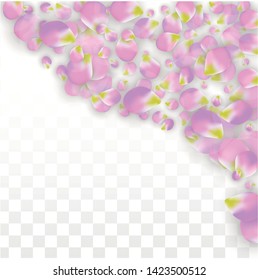 Vector Realistic Pink Petals Falling on Transparent Background.  Spring Romantic Flowers Illustration. Flying Petals. Sakura Spa Design.  Blossom Confetti. Design Elements for  Poster Design. 
