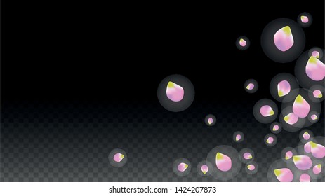 Vector Realistic Pink Petals Falling on Transparent Background.  Spring Romantic Flowers Illustration. Flying Petals. Sakura Spa Design.  Blossom Confetti. Design Elements for  Wedding Decoration.