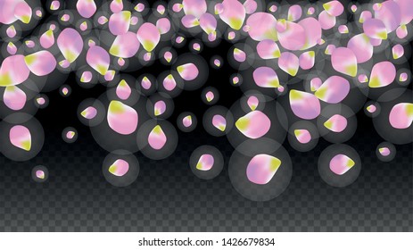 Vector Realistic Pink Petals Falling on Transparent Background.  Spring Romantic Flowers Illustration. Flying Petals. Sakura Spa Design.  Blossom Confetti. Design Elements for  Poster Design. 