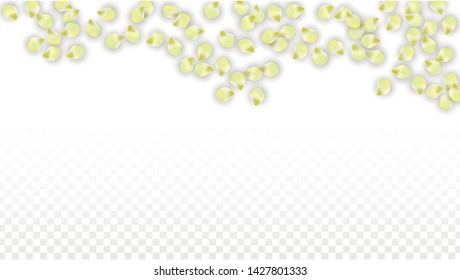 Vector Realistic Pink Petals Falling on Transparent Background.  Spring Romantic Flowers Illustration. Flying Petals. Sakura Spa Design.  Blossom Confetti. Design Elements for  8 March Card.