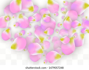 Vector Realistic Pink Petals Falling on Transparent Background.  Spring Romantic Flowers Illustration. Flying Petals. Sakura Spa Design.  Blossom Confetti. Design Elements for  8 March Card.