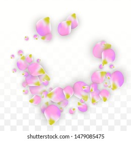 Vector Realistic Pink Petals Falling on Transparent Background.  Spring Romantic Flowers Illustration. Flying Petals. Sakura Spa Design.  Blossom Confetti. Design Elements for  Poster Design. 
