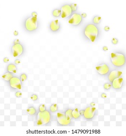 Vector Realistic Pink Petals Falling on Transparent Background.  Spring Romantic Flowers Illustration. Flying Petals. Sakura Spa Design.  Blossom Confetti. Design Elements for  Mother's Day.