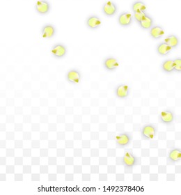 Vector Realistic Pink Petals Falling on Transparent Background.  Spring Romantic Flowers Illustration. Flying Petals. Sakura Spa Design.  Blossom Confetti. Design Elements for  St. Valentine Day.