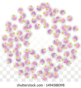 Vector Realistic Pink Petals Falling on Transparent Background.  Spring Romantic Flowers Illustration. Flying Petals. Sakura Spa Design.  Blossom Confetti. Design Elements for  Poster Design. 