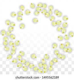 Vector Realistic Pink Petals Falling on Transparent Background.  Spring Romantic Flowers Illustration. Flying Petals. Sakura Spa Design.  Blossom Confetti. Design Elements for  St. Valentine Day.