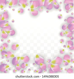 Vector Realistic Pink Petals Falling on Transparent Background.  Spring Romantic Flowers Illustration. Flying Petals. Sakura Spa Design.  Blossom Confetti. Design Elements for  Wedding Decoration.