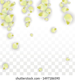Vector Realistic Pink Petals Falling on Transparent Background.  Spring Romantic Flowers Illustration. Flying Petals. Sakura Spa Design.  Blossom Confetti. Design Elements for  Mother's Day.