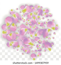 Vector Realistic Pink Petals Falling on Transparent Background.  Spring Romantic Flowers Illustration. Flying Petals. Sakura Spa Design.  Blossom Confetti. Design Elements for  St. Valentine Day.