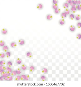 Vector Realistic Pink Petals Falling on Transparent Background.  Spring Romantic Flowers Illustration. Flying Petals. Sakura Spa Design.  Blossom Confetti. Design Elements for  Wedding Decoration.