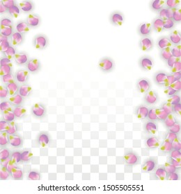 Vector Realistic Pink Petals Falling on Transparent Background.  Spring Romantic Flowers Illustration. Flying Petals. Sakura Spa Design.  Blossom Confetti. Design Elements for  Poster Design. 