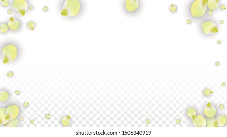 Vector Realistic Pink Petals Falling on Transparent Background.  Spring Romantic Flowers Illustration. Flying Petals. Sakura Spa Design.  Blossom Confetti. Design Elements for  St. Valentine Day.