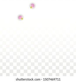 Vector Realistic Pink Petals Falling on Transparent Background.  Spring Romantic Flowers Illustration. Flying Petals. Sakura Spa Design.  Blossom Confetti. Design Elements for  Mother's Day.