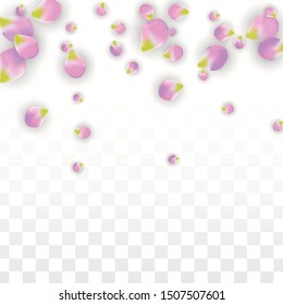 Vector Realistic Pink Petals Falling on Transparent Background.  Spring Romantic Flowers Illustration. Flying Petals. Sakura Spa Design.  Blossom Confetti. Design Elements for  Mother's Day.