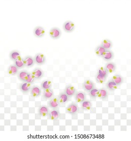 Vector Realistic Pink Petals Falling on Transparent Background.  Spring Romantic Flowers Illustration. Flying Petals Sakura Spa Design.  Blossom Confetti. Design Elements for  Wedding Decoration.