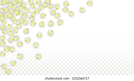 Vector Realistic Pink Petals Falling on Transparent Background.  Spring Romantic Flowers Illustration. Flying Petals. Sakura Spa Design.  Blossom Confetti. Design Elements for  Mother's Day.