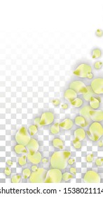 Vector Realistic Pink Petals Falling on Transparent Background.  Spring Romantic Flowers Illustration. Flying Petals. Sakura Spa Design.  Blossom Confetti. Design Elements for  Poster Design. 