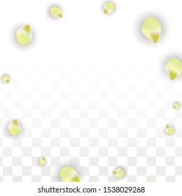 Vector Realistic Pink Petals Falling on Transparent Background.  Spring Romantic Flowers Illustration. Flying Petals. Sakura Spa Design.  Blossom Confetti. Design Elements for  St. Valentine Day.