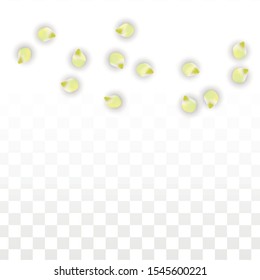 Vector Realistic Pink Petals Falling on Transparent Background.  Spring Romantic Flowers Illustration. Flying Petals. Sakura Spa Design.  Blossom Confetti. Design Elements for  Poster Design. 