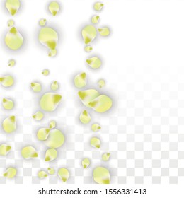 Vector Realistic Pink Petals Falling on Transparent Background.  Spring Romantic Flowers Illustration. Flying Petals. Sakura Spa Design.  Blossom Confetti. Design Elements for  Mother's Day.