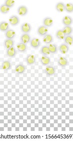 Vector Realistic Pink Petals Falling on Transparent Background.  Spring Romantic Flowers Illustration. Flying Petals. Sakura Spa Design.  Blossom Confetti. Design Elements for  Wedding Decoration.