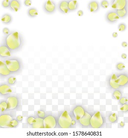 Vector Realistic Pink Petals Falling on Transparent Background.  Spring Romantic Flowers Illustration. Flying Petals. Sakura Spa Design.  Blossom Confetti. Design Elements for  Wedding Decoration.