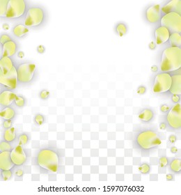 Vector Realistic Pink Petals Falling on Transparent Background.  Spring Romantic Flowers Illustration. Flying Petals. Sakura Spa Design.  Blossom Confetti. Design Elements for  Mother's Day.