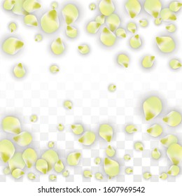 Vector Realistic Pink Petals Falling on Transparent Background.  Spring Romantic Flowers Illustration. Flying Petals. Sakura Spa Design.  Blossom Confetti. Design Elements for  Mother's Day.