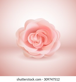 Vector realistic pink Rose 