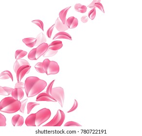 Vector realistic pink rose, cherry, sakura petal fall down illustration wave pattern isolated white background. Elegant spring decoration Valentines day, women day, wedding marriage natural cosmetics