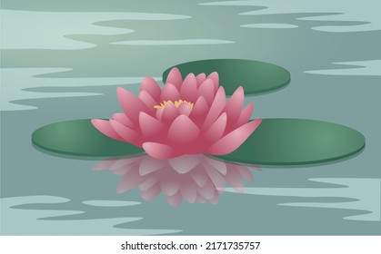 Vector, lirio de agua rosada realista con reflexión. Flor tensa y suave en el agua tranquila. Zen lotus.