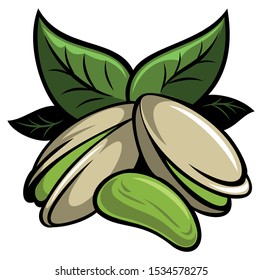 Vector realistic pistachio nuts with leaves, isolated on white background.