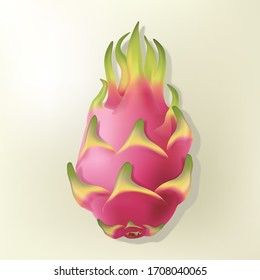 Vector Realistic Pitaya or Dragon Fruit Illustration