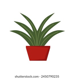 Vector realistic plant in pot. Suitable for indoor ornamental plants.