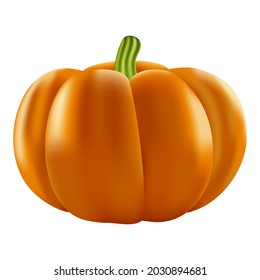 Vector realistic pumpkin isolated on white background