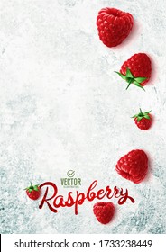 Vector realistic raspberry illustration on white stone background