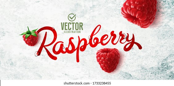 Vector realistic raspberry illustration on white stone background