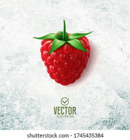 Vector realistic raspberry illustration on white stone background